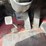 peterbilt-379-image-35