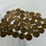 #40029-•-(42)-miscellaneous-one-dollar-coins-image-1