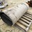 #3403-•-roll-of-coil-stalk-image-4