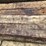 #3447-•-bundle-of-(16)-railroad-ties-image-9