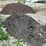 #4881-•-pile-of-black-wood-mulch-image-4