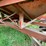 #8312-•-forage-king-73-10-feed-wagon-gravity-box-image-12