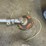 #7918-•-husqvarna-525ls-trimmer-image-6