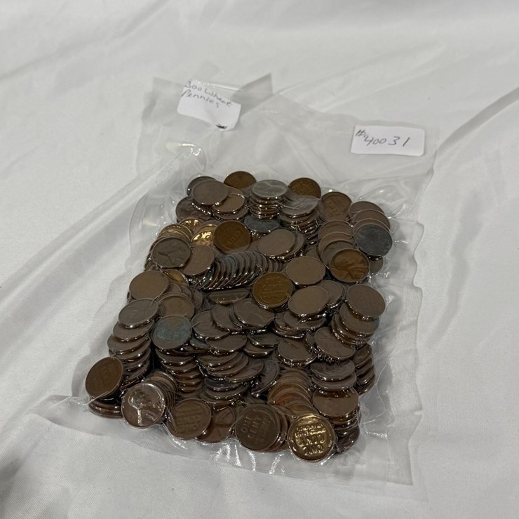 #40031 • (300) OLD WHEAT PENNIES
