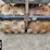 dynapac-trench-compactor-image-20