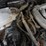 2002-honda-accord-vin:1hgcg22522a021198-image-2