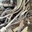 #204-•-1988-international-straight-truck-(has-wi-title)-image-107
