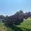 case-ih-1240-image-5