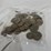 #40036-•-(50)-1776-1976-bicentennial-one-dollar-coins-image-11
