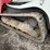 2022-takeuchi-tl12r2-image-17