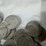 #40040-•-(58)-early-1900's-v-nickels-image-16
