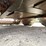 bobcat-722-image-58