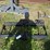 universal-attach-plate-mount-image-2