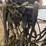 #8359-•-single-draft-horse-harness-image-4