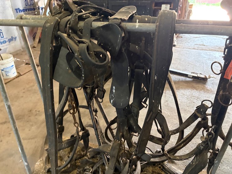 #8359-•-single-draft-horse-harness-image-4