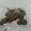 #40036-•-(50)-1776-1976-bicentennial-one-dollar-coins-image-21