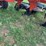 blanchat-9-bottom-plow-image-10