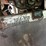 2007-bobcat-2300-image-16