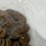#40030-•-(300)-wheat-pennies-image-7