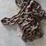 15'-long-chain-image-3