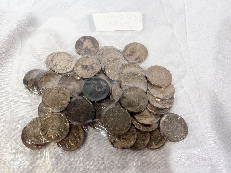 #40041-•-(50)-buffalo-nickels-image-15