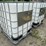 #8324-•-poly-caged-ibc-tote-image-4