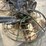 #1813-•-36"-power-trowel-w/-8hp-honda-image-11