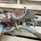 #3395-•-1980-jawa---motokov-moped-image-21