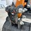 #5091-•-unused-future-ft15-mini-excavator-image-32