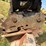 volvo-ew180c-image-17