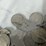 #40040-•-(58)-early-1900's-v-nickels-image-7