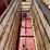 paul-livestock-scale-single-head-7375-image-5
