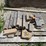 #4883-•-pallet-of-landscape-edgers-image-2