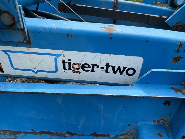 dmi-tiger-image-5