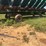 ez-trail-header-wagon-image-3