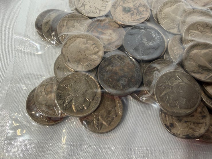 #40041-•-(50)-buffalo-nickels-image-21