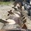 #8343-•-fritsch-96"-silage-defacer-image-9