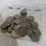 #40035-•-(50)-1776-1976-bicentennial-one-dollar-coins-image-1
