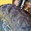 #1428-•-2023-yamaha-wolverine-rmax-4x4-utv-image-55