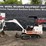 bobcat-331-image-30