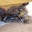 caterpillar-hydraulic-quick-coupler-image-9