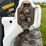 2022-bobcat-s66-image-16