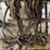 #8359-•-single-draft-horse-harness-image-3