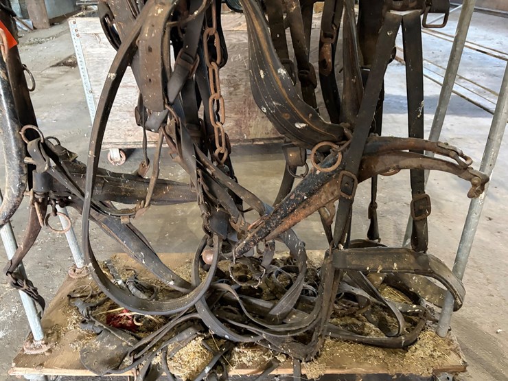 #8359-•-single-draft-horse-harness-image-3