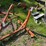 engine-stand-base-image-3