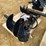 #2021-•-new-wolverine-skid-steer-auger-drive-and-bit-attachment-image-4