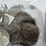 #40036-•-(50)-1776-1976-bicentennial-one-dollar-coins-image-15