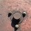 #3375-•-silomatic-10'-grain-auger-image-25