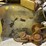 2004-vermeer-bc1000-image-12