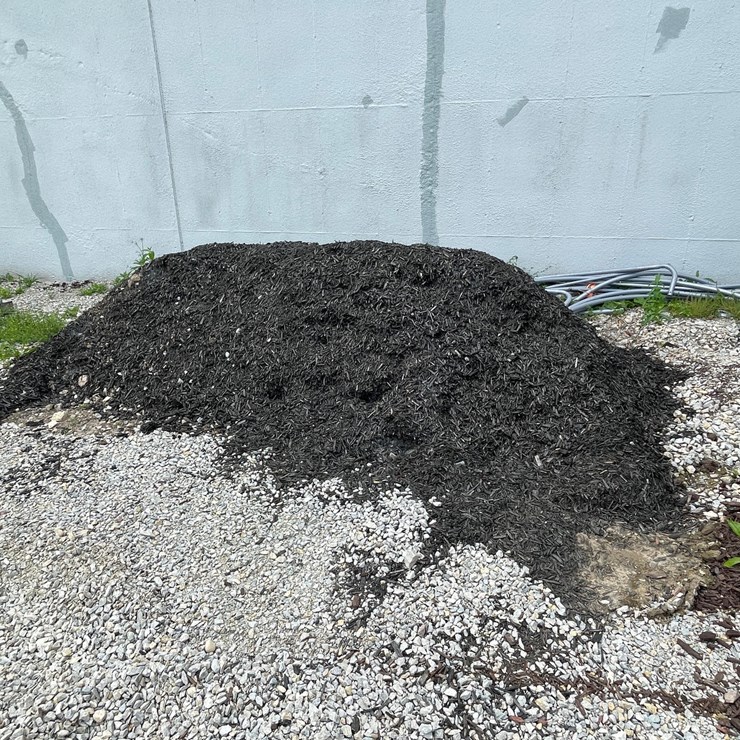 #4881 • Pile of Black Wood Mulch